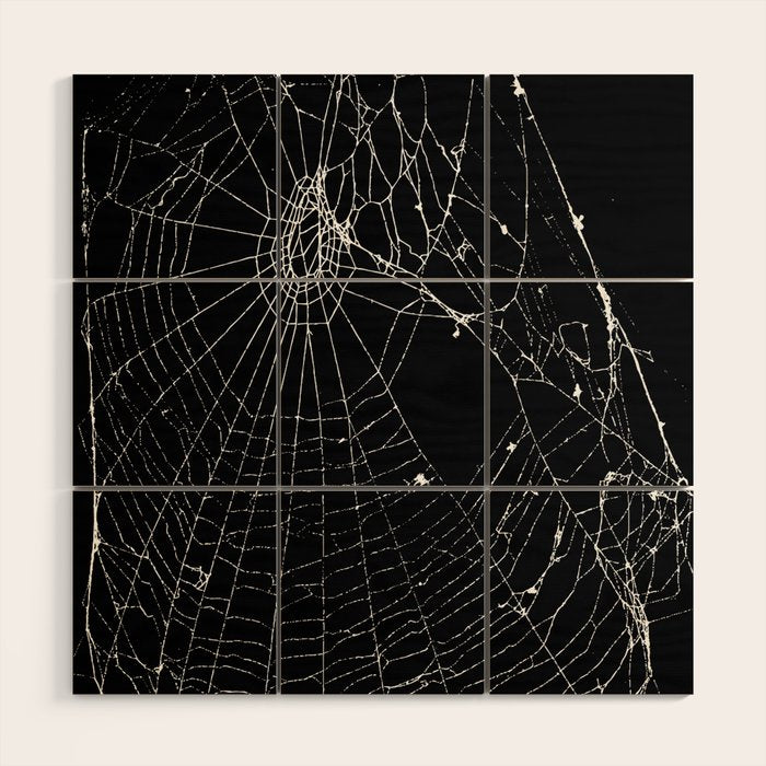 Spider Web Wood Wall Art Gallery Image 1