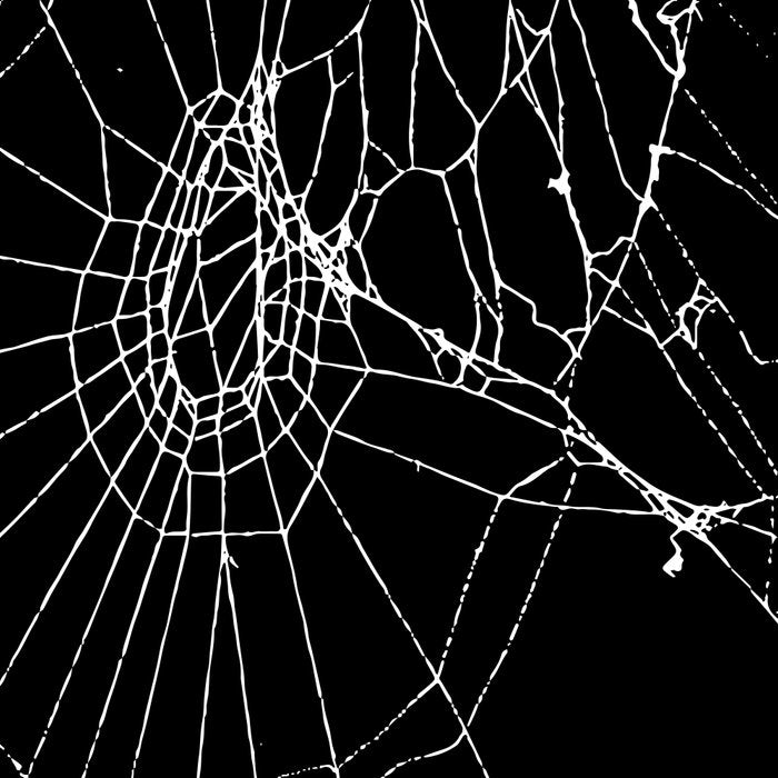 Spider Web Coffee Mug Gallery Image 2