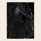 Spider Web Poster Gallery Image 4
