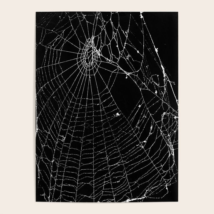 Spider Web Poster Gallery Image 4