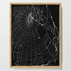 Spider Web Serving Tray Gallery Image 1