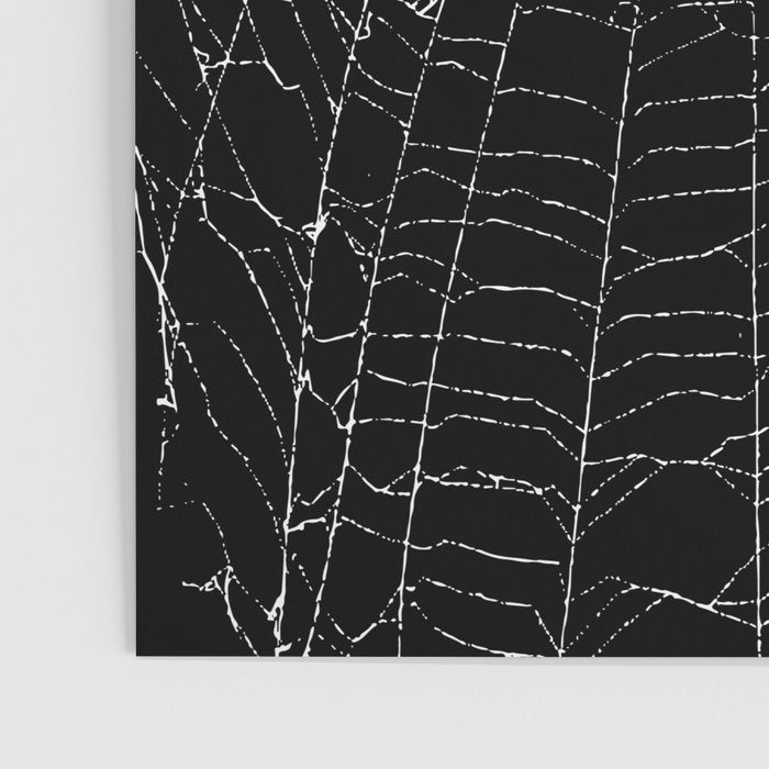 Spider Web Poster Gallery Image 3