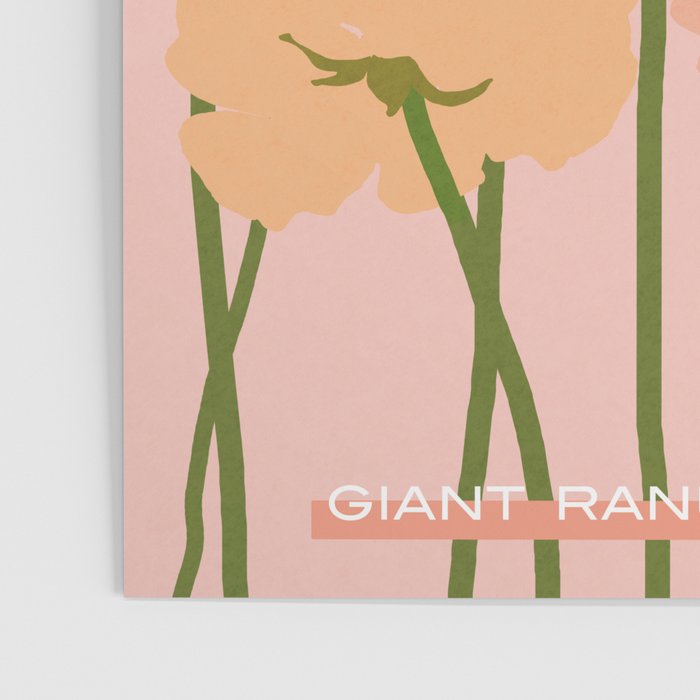 Flower Market - Ranunculus #4 Poster Gallery Image 3