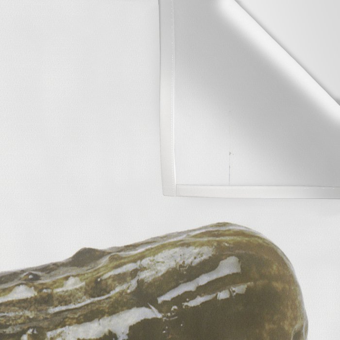 Dill Pickle Wall Tapestry Gallery Image 3