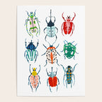 Garden Beetles Poster Gallery Image 4