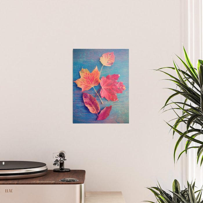 The Colors of Autumn Poster Gallery Image 2