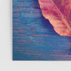 The Colors of Autumn Poster Gallery Image 3