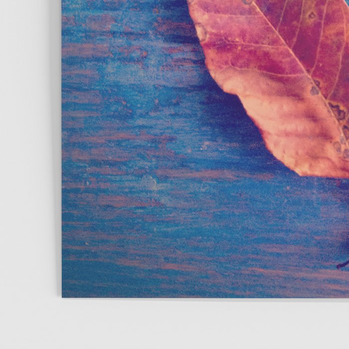 The Colors of Autumn Poster Gallery Image 3