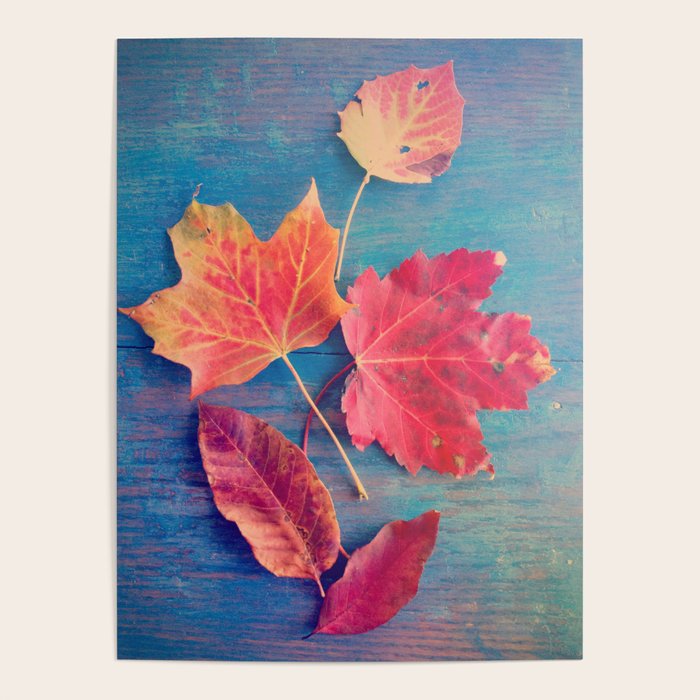 The Colors of Autumn Poster Gallery Image 1