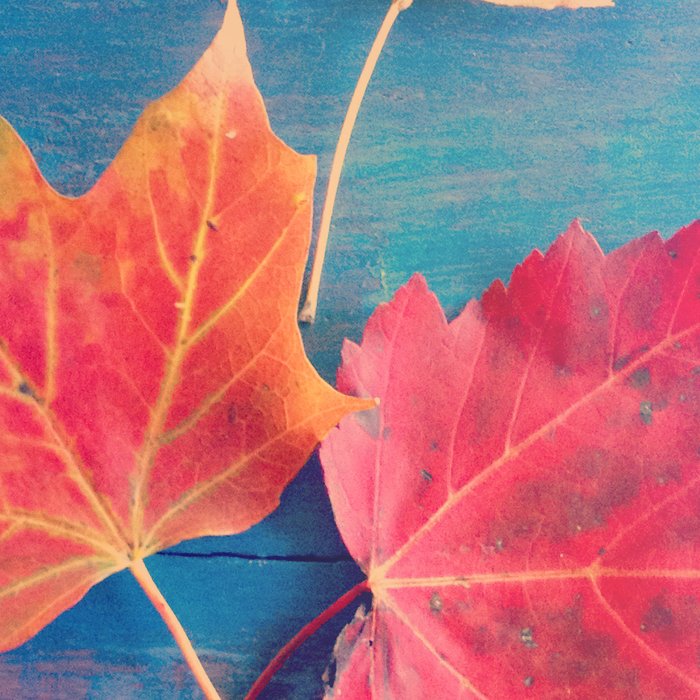 The Colors of Autumn Coffee Mug Gallery Image 2