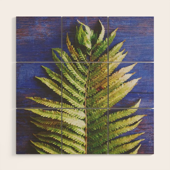 Fern Wood Wall Art Gallery Image 1