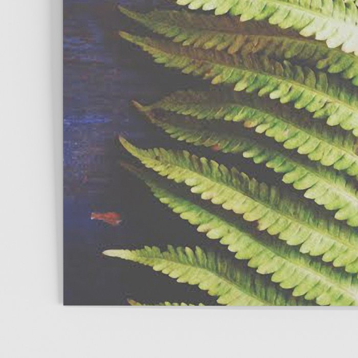 Fern Poster Gallery Image 3