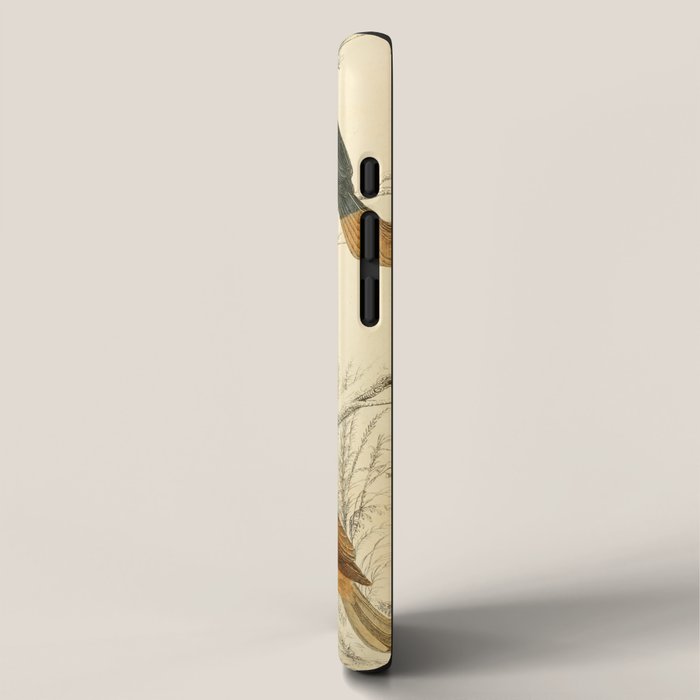Hornbills from The Edinburgh Journal, 1835 (benefitting The Nature Conservancy) iPhone Case Gallery Image 2