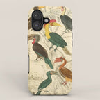 Hornbills from The Edinburgh Journal, 1835 (benefitting The Nature Conservancy) iPhone Case Gallery Image 1
