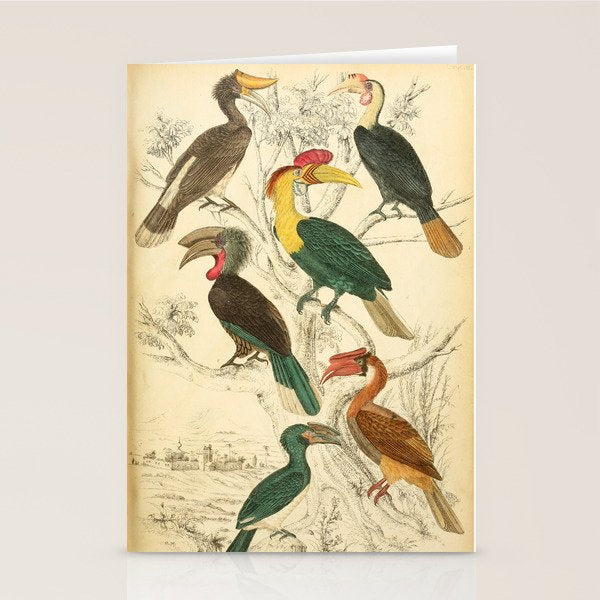 Hornbills from The Edinburgh Journal, 1835 (benefitting The Nature Conservancy) Stationery Card Gallery Image 1