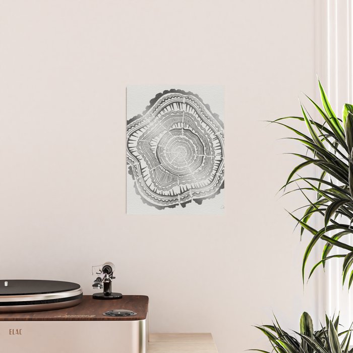 Growth Rings - 65 Years - Silver Poster Gallery Image 2