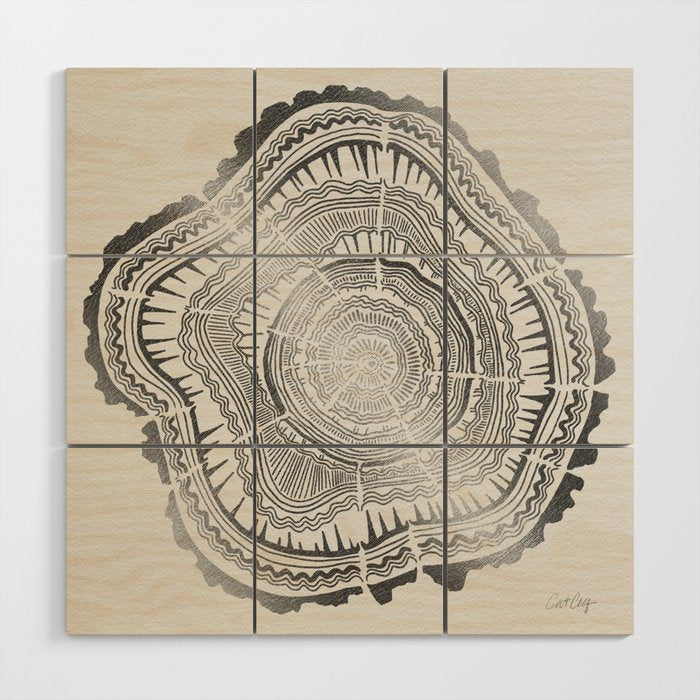 Growth Rings - 65 Years - Silver Wood Wall Art Gallery Image 1