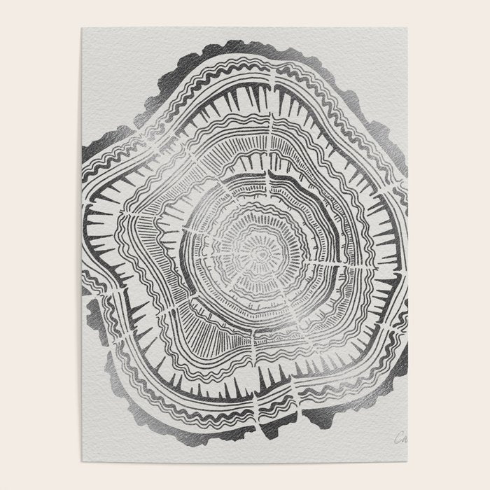 Growth Rings - 65 Years - Silver Poster Gallery Image 4