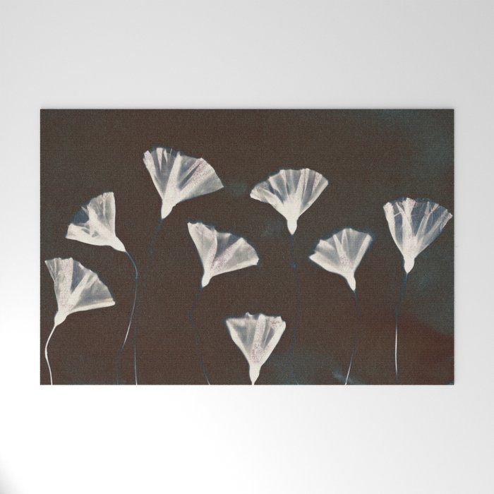Magic in the Ordinary #9 / Dark Welcome Mat Gallery Image 1