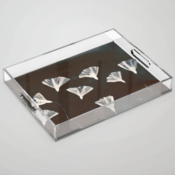Magic in the Ordinary #9 / Dark Acrylic Tray Gallery Image 1