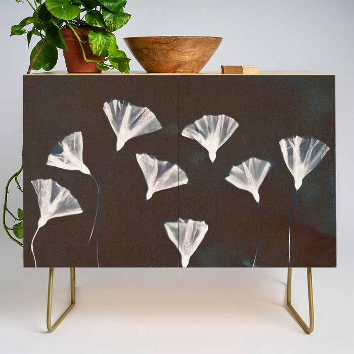 Magic in the Ordinary #9 / Dark Credenza Gallery Image 1