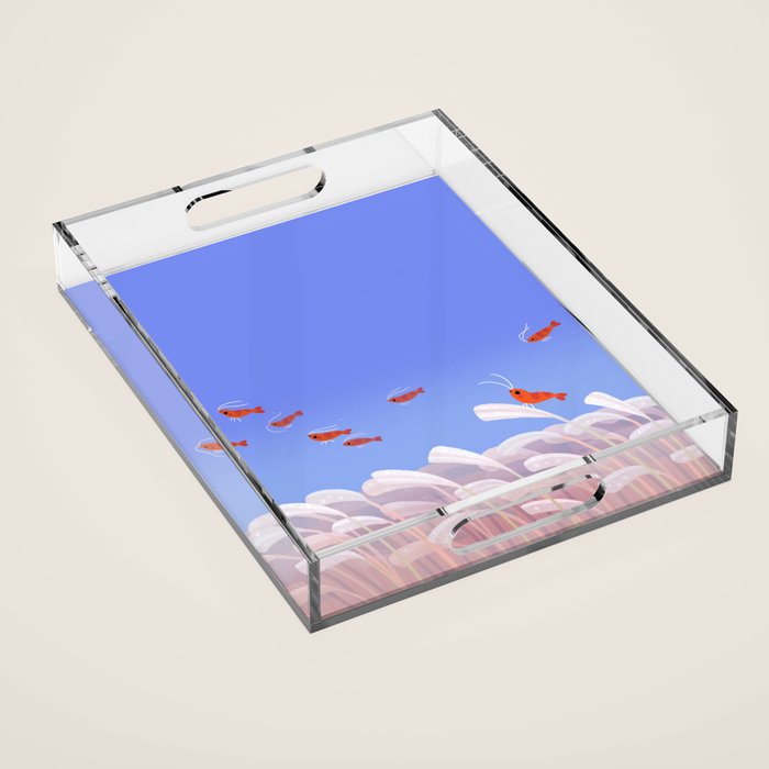 Flying cherry shrimp Acrylic Tray Gallery Image 1