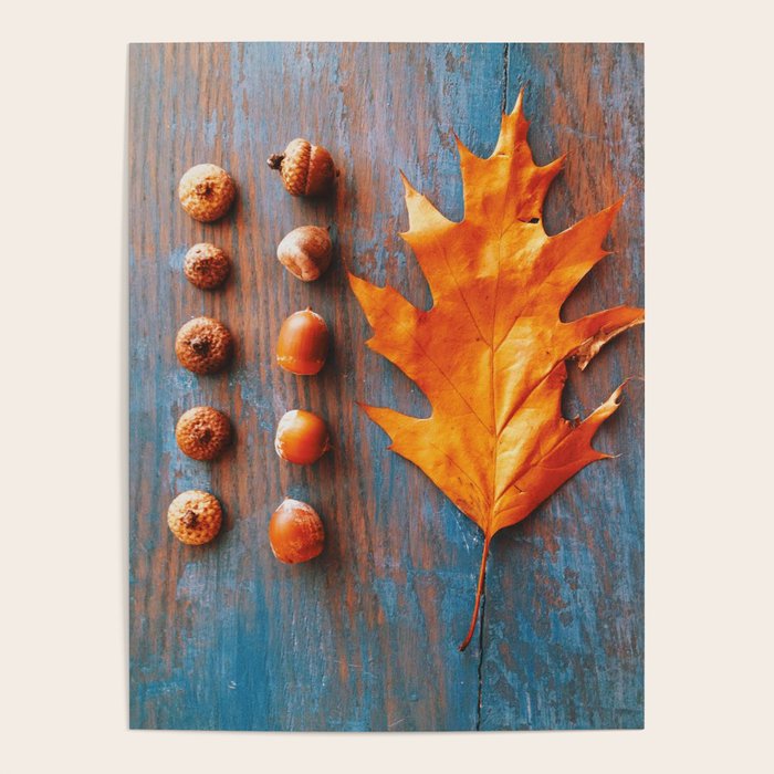 Little Autumn Acorns Poster Gallery Image 1