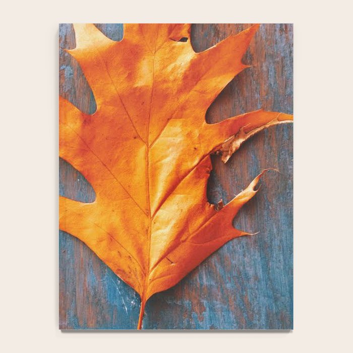 Little Autumn Acorns Notebook Gallery Image 4