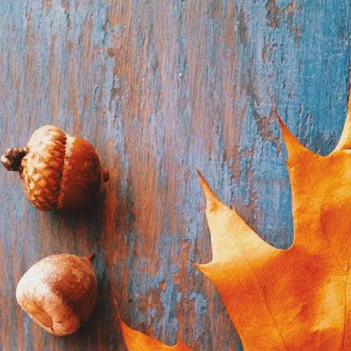 Little Autumn Acorns Coffee Mug Gallery Image 2