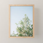 The olive tree | Italy fine art travel photography | Ostuni art Mini Art Print Gallery Image 1