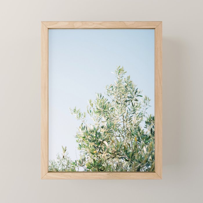 The olive tree | Italy fine art travel photography | Ostuni art Mini Art Print Gallery Image 1