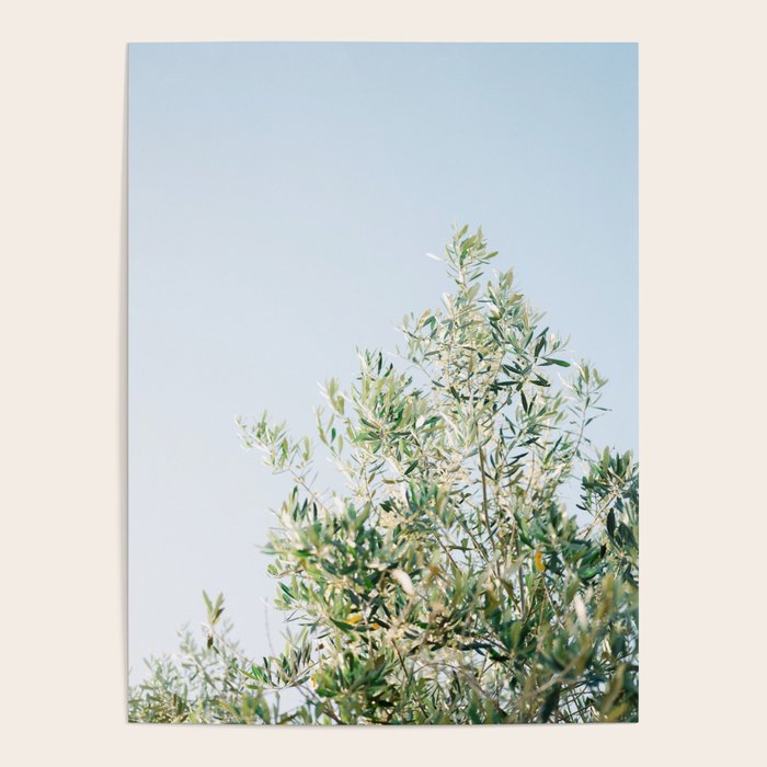 The olive tree | Italy fine art travel photography | Ostuni art Poster Gallery Image 4