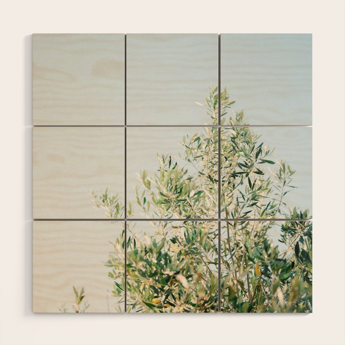 The olive tree | Italy fine art travel photography | Ostuni art Wood Wall Art Gallery Image 1