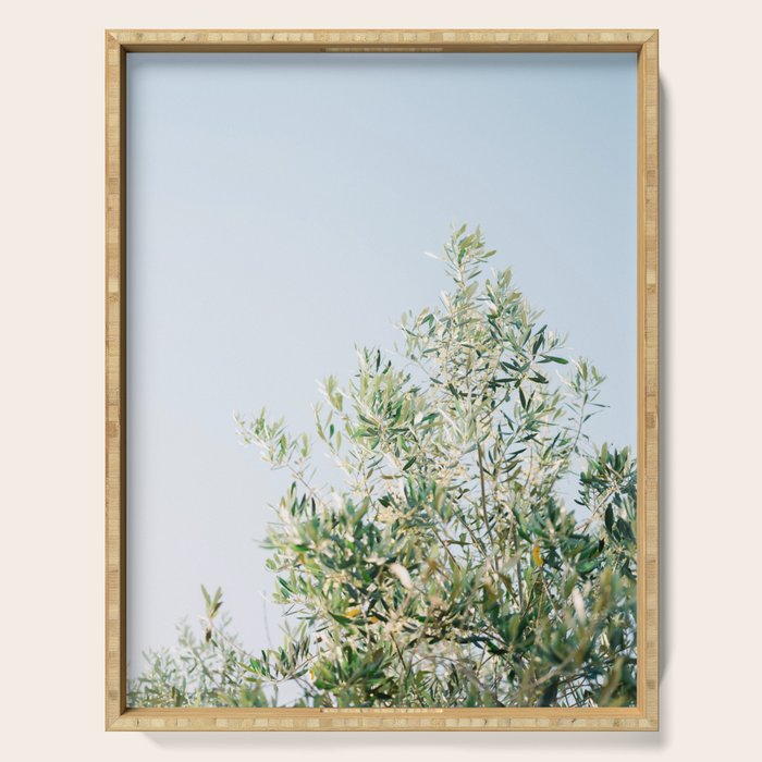 The olive tree | Italy fine art travel photography | Ostuni art Serving Tray Gallery Image 1