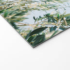 The olive tree | Italy fine art travel photography | Ostuni art Welcome Mat Gallery Image 2