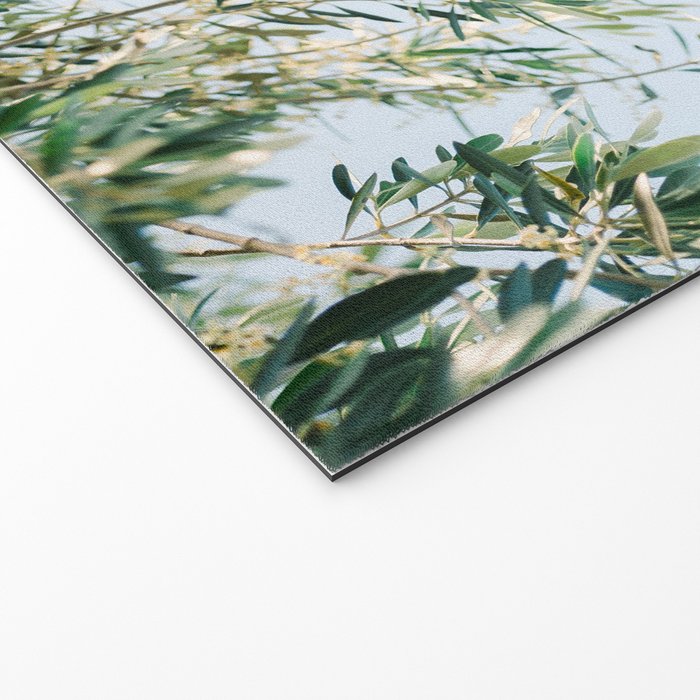 The olive tree | Italy fine art travel photography | Ostuni art Welcome Mat Gallery Image 2