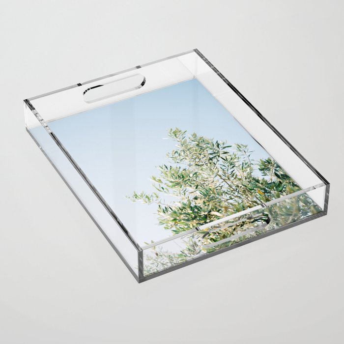 The olive tree | Italy fine art travel photography | Ostuni art Acrylic Tray Gallery Image 1