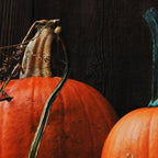 Three Pumpkins Coffee Mug Gallery Image 2