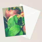 Autumn Apples Stationery Card Gallery Image 2