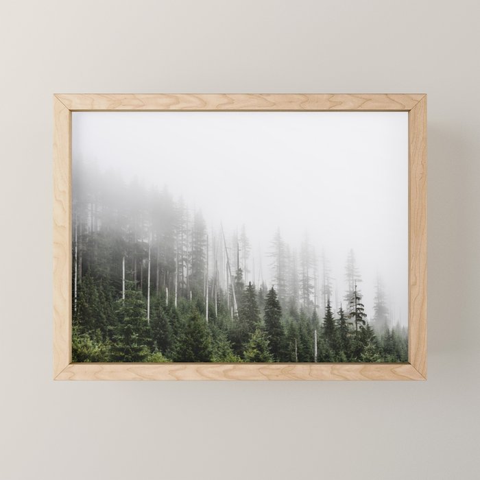 Pacific Northwest Forest - Misty Mountain Morning Mini Art Print Gallery Image 1
