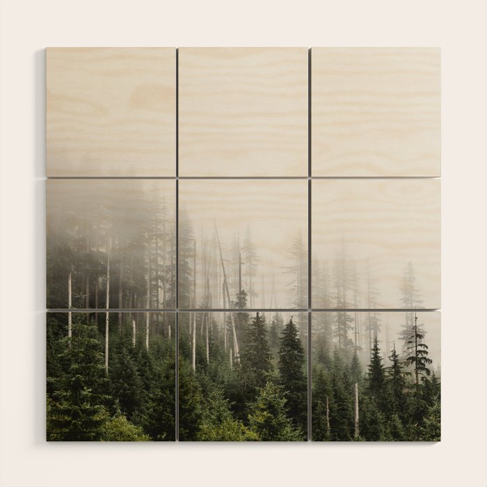 Pacific Northwest Forest - Misty Mountain Morning Wood Wall Art Gallery Image 1