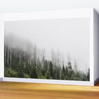 Pacific Northwest Forest - Misty Mountain Morning Wall Mural Gallery Image 2