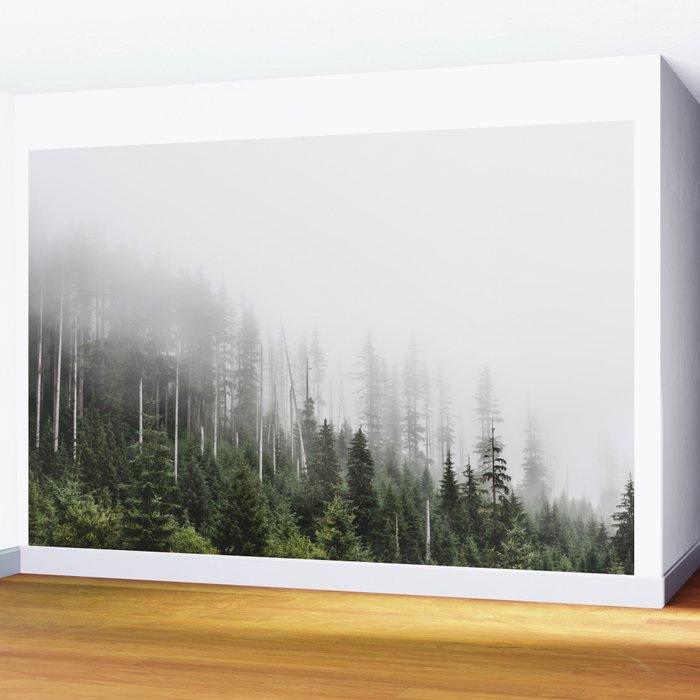 Pacific Northwest Forest - Misty Mountain Morning Wall Mural Gallery Image 2
