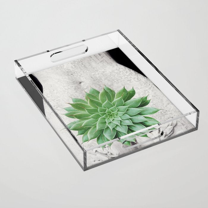 A Succulent Woman Acrylic Tray Gallery Image 1