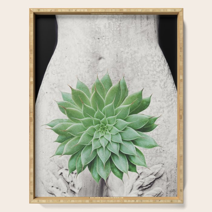 A Succulent Woman Serving Tray Gallery Image 1