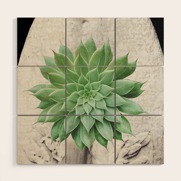 A Succulent Woman Wood Wall Art Gallery Image 1
