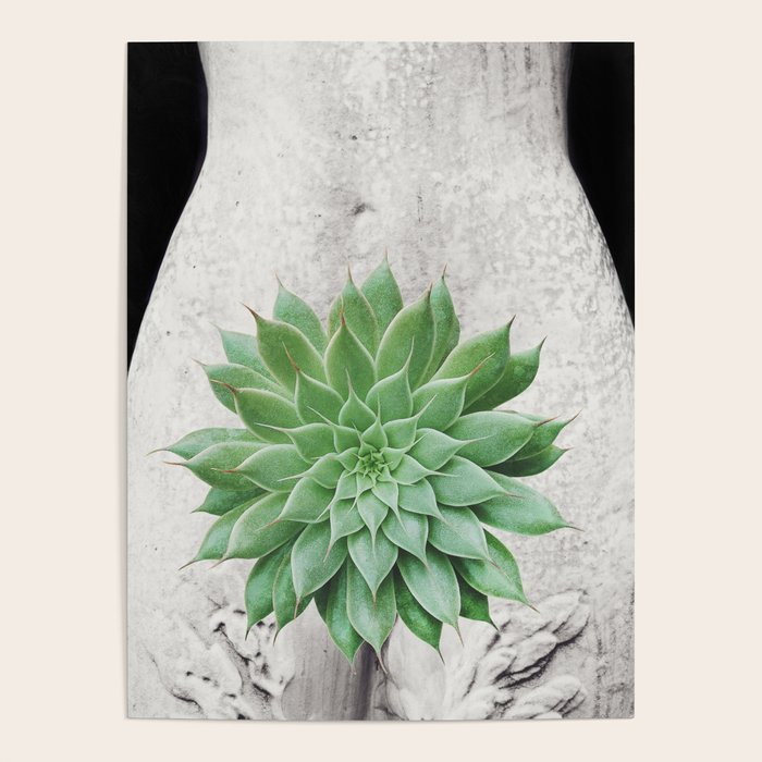 A Succulent Woman Poster Gallery Image 4