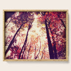 Autumn Red Serving Tray Gallery Image 1