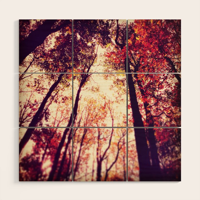 Autumn Red Wood Wall Art Gallery Image 1