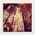 Autumn Red Wood Wall Art Gallery Image 1